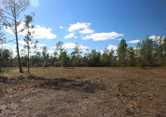 4th image of 5015 Nw County Road 274, Altha, FL 32421 | MLS# 752699
