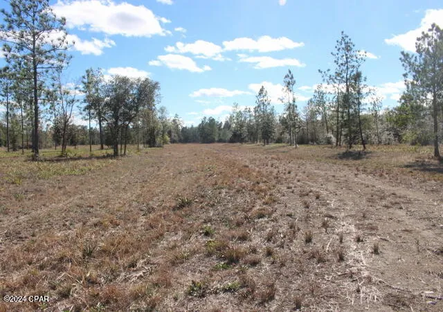 5th image of 5015 Nw County Road 274, Altha, FL 32421 | MLS# 752699
