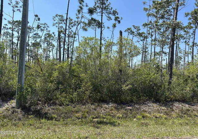 1st image of 11831 Hauser Rd, Panama City, FL 32404 | MLS# 758866
