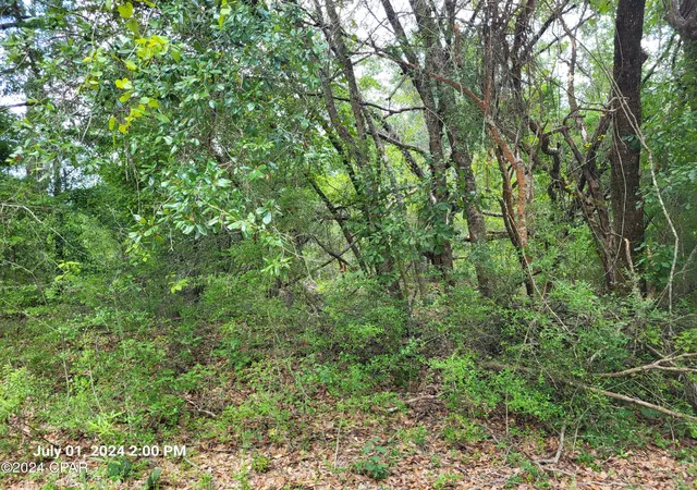 Photo 2 of Land for sale at 00 Persimmons Ln, Marianna, FL 32448 | MLS# 759389 | Listing updated on 2026-05-30