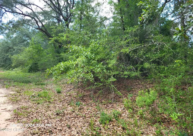 Photo 3 of Land for sale at 00 Persimmons Ln, Marianna, FL 32448 | MLS# 759389 | Listing updated on 2026-05-30