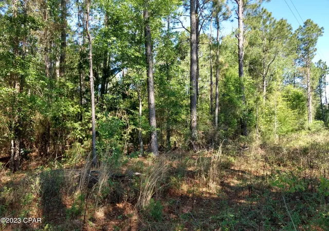1st image of Tbd Little John Ln, Bonifay, FL 32425 | MLS# 748963