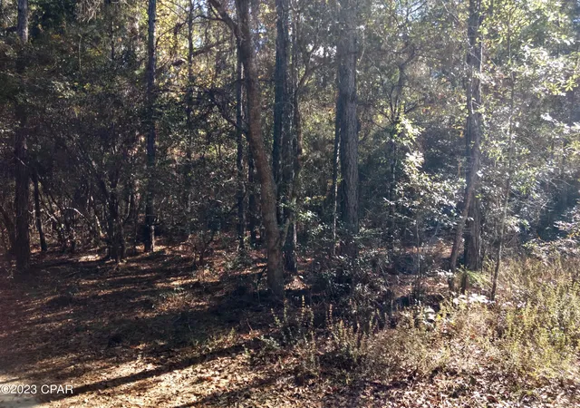 1st image of 00 Little John, Bonifay, FL 32425 | MLS# 749211