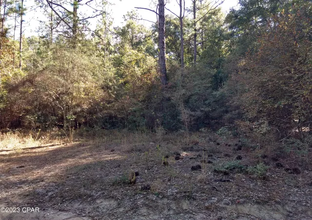 2nd image of 00 Little John, Bonifay, FL 32425 | MLS# 749211