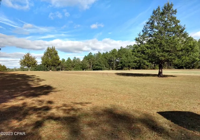 4th image of 00 Little John, Bonifay, FL 32425 | MLS# 749211