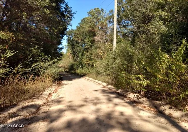 3rd image of 000 Little John Ln, Bonifay, FL 32425 | MLS# 749213