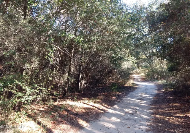 5th image of 000 Little John Ln, Bonifay, FL 32425 | MLS# 749213