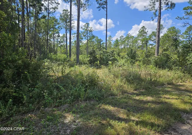 Photo 3 of Land for sale at 13450 Leisure Ln, Fountain, FL 32438 | MLS# 733803 | Listing updated on 2026-09-27
