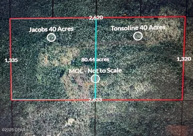 1st image of 0 Nw Camp Head Rd, Altha, FL 32421 | MLS# 770843