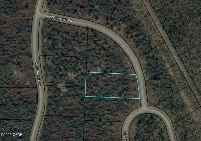 1st image of 110 Bristle Cone Dr, Wewahitchka, FL 32465 | MLS# 771885