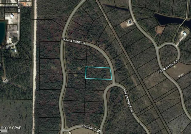 2nd image of 110 Bristle Cone Dr, Wewahitchka, FL 32465 | MLS# 771885