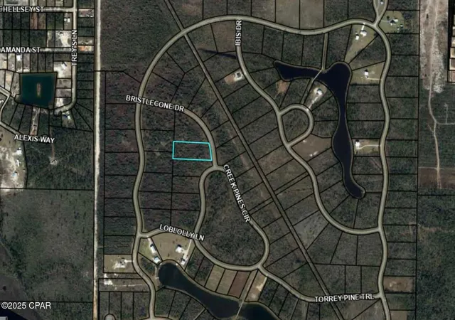 3rd image of 110 Bristle Cone Dr, Wewahitchka, FL 32465 | MLS# 771885