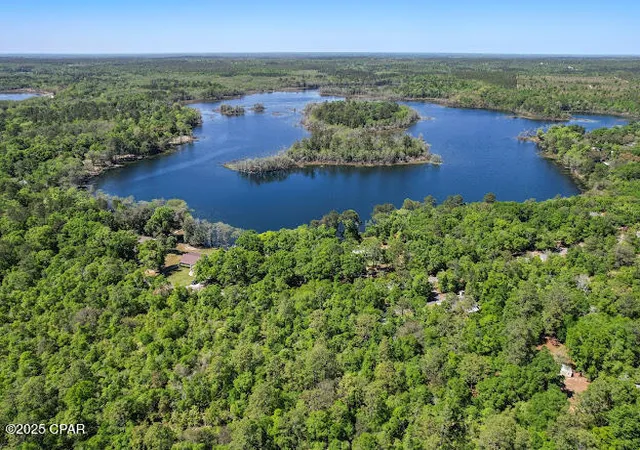 4th image of 0000 Paradise Lakes Rd, Chipley, FL 32428 | MLS# 772140