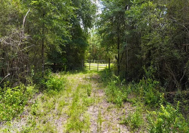 1st image of 20429 Fettinger Rd, Fountain, FL 32438 | MLS# 772817