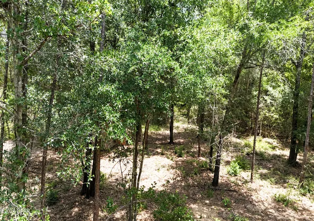 2nd image of 20429 Fettinger Rd, Fountain, FL 32438 | MLS# 772817