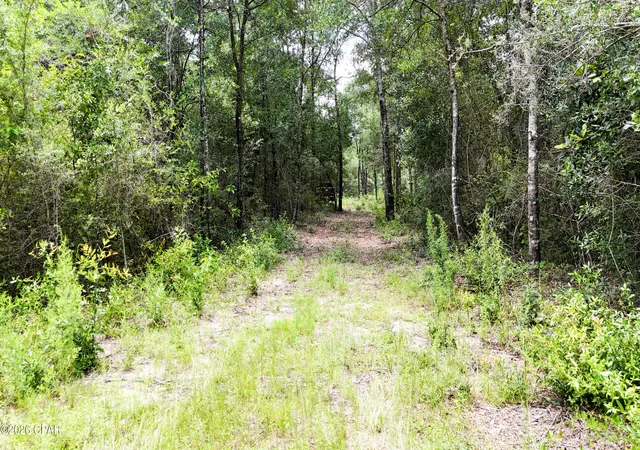 3rd image of 20429 Fettinger Rd, Fountain, FL 32438 | MLS# 772817