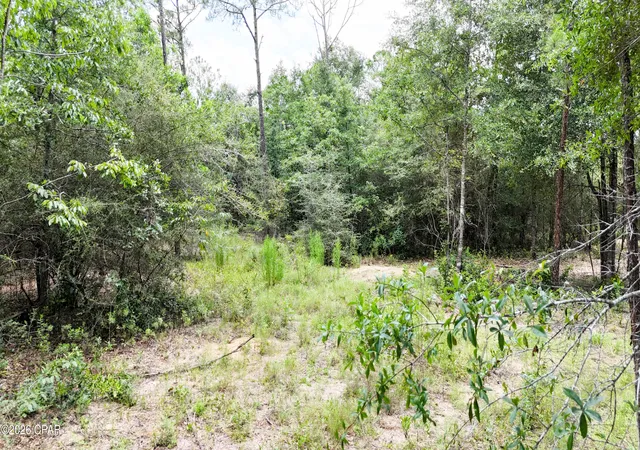 4th image of 20429 Fettinger Rd, Fountain, FL 32438 | MLS# 772817