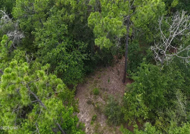 5th image of 20429 Fettinger Rd, Fountain, FL 32438 | MLS# 772817