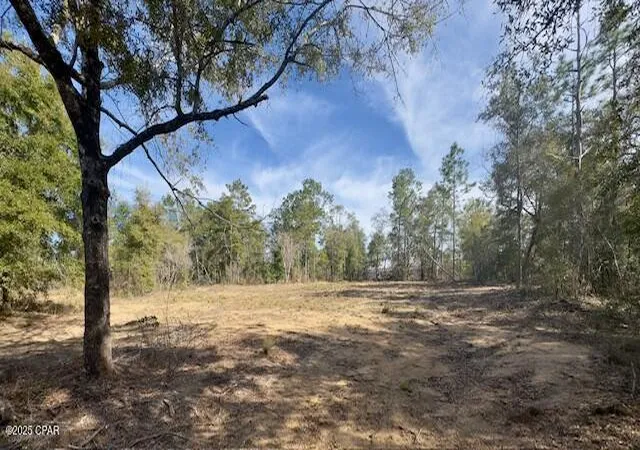 Homes for sale in Chipley, FL | Lot #19 Paradise Lakes Rd, Chipley, FL 32428 | MLS# 769236