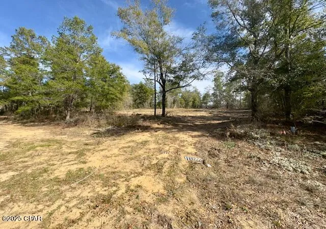 Homes for sale in Chipley, FL | Lot #19 Paradise Lakes Rd, Chipley, FL 32428 | MLS# 769236