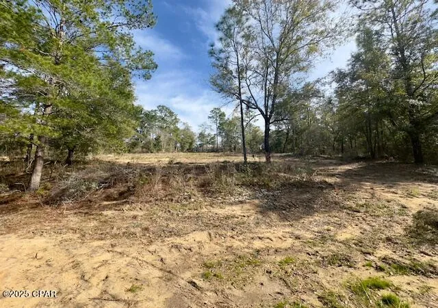 Homes for sale in Chipley, FL | Lot #19 Paradise Lakes Rd, Chipley, FL 32428 | MLS# 769236