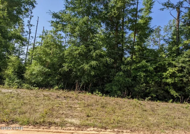 2nd image of 001 Pinecrest Rd, Fountain, FL 32438 | MLS# 726700