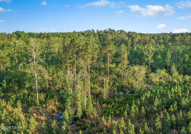 15th image of Xxx Cr 177 #Lot 2, Bonifay, FL 32425 | MLS# 773492