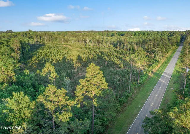 Homes for sale in Bonifay, FL | Xxx Cr 177 #Lot 1, Bonifay, FL 32425 | MLS# 773491