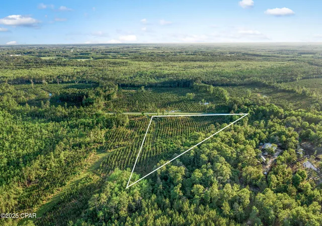 Homes for sale in Bonifay, FL | Xxx Cr 177 #Lot 1, Bonifay, FL 32425 | MLS# 773491