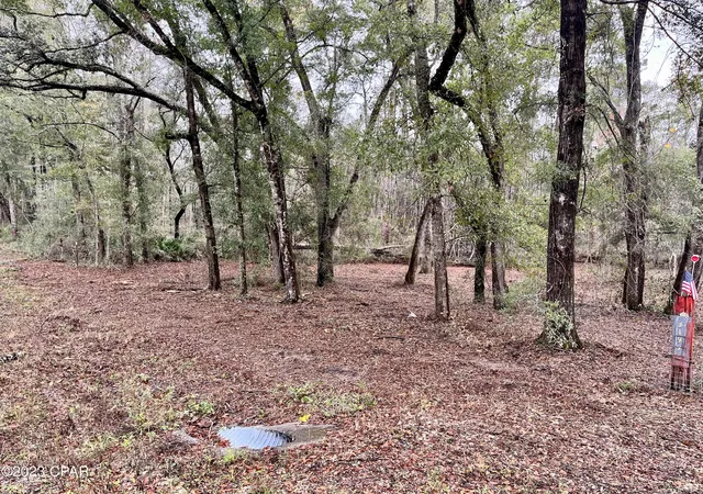 36th image of 3199 Pate Pond Rd, Caryville, FL 32427 | MLS# 769136