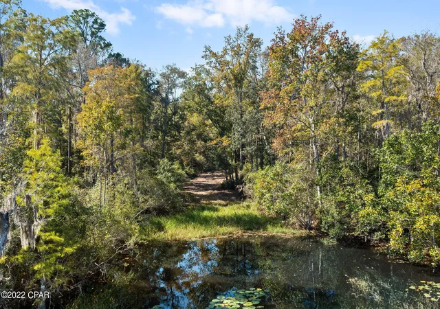 4th image of 3199 Pate Pond Rd, Caryville, FL 32427 | MLS# 769136
