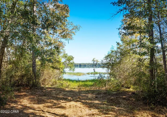 5th image of 3199 Pate Pond Rd, Caryville, FL 32427 | MLS# 769136
