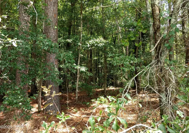 Homes for sale in Westville, FL | Lot 29 Beech Dr, Westville, FL 32464 | MLS# 767111