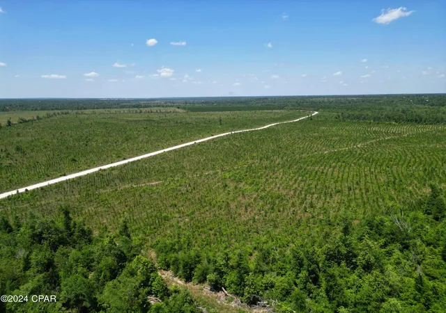 4th image of Lot 3 Nw Kb Jones Rd, Clarksville, FL 32430 | MLS# 758291