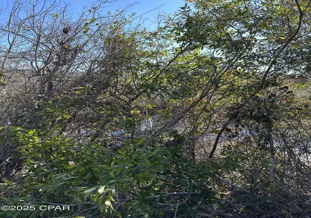 12th image of 31 Indian Bluff Dr, Youngstown, FL 32466 | MLS# 766885