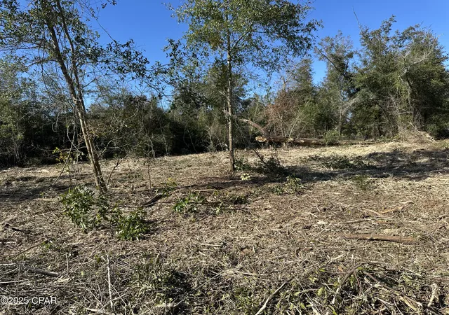 3rd image of 31 Indian Bluff Dr, Youngstown, FL 32466 | MLS# 766885