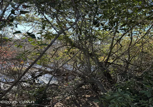 5th image of 31 Indian Bluff Dr, Youngstown, FL 32466 | MLS# 766885