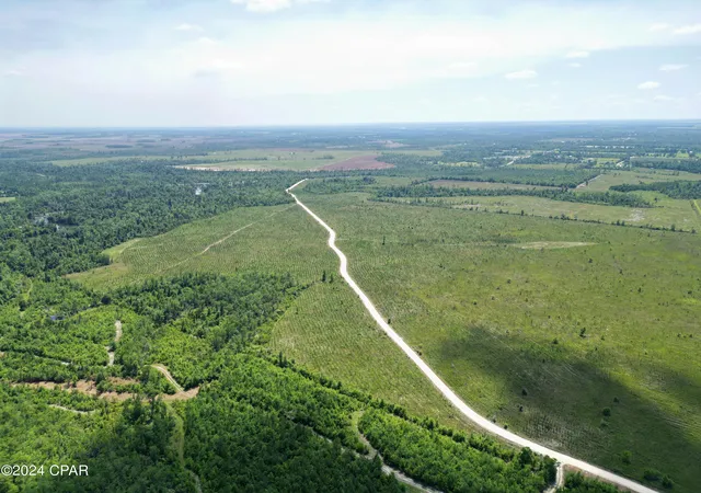 4th image of Lot 7 Nw Kb Jones Rd, Clarksville, FL 32430 | MLS# 758296