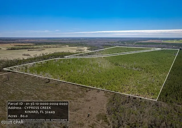23rd image of 0 S Sr 71, Wewahitchka, FL 32449 | MLS# 774740