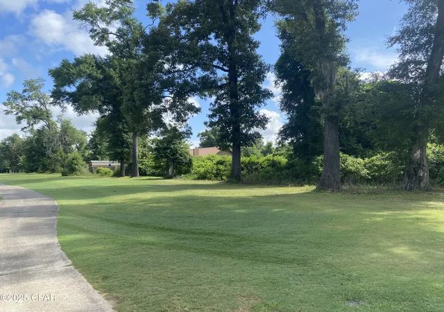 4th image of 0000 Magnolia Blossom Ln #2, Marianna, FL 32446 | MLS# 775003