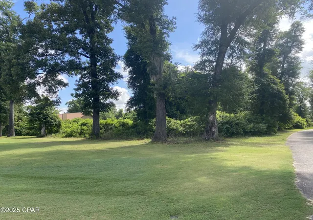 5th image of 0000 Magnolia Blossom Ln #2, Marianna, FL 32446 | MLS# 775003