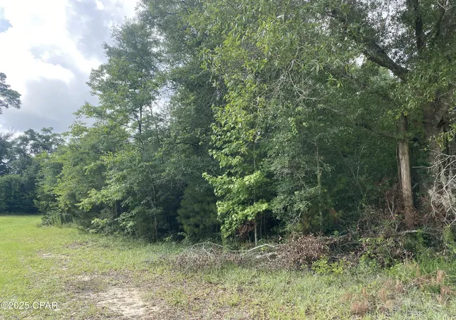 1st image of 0000 Robins Way #36, Marianna, FL 32446 | MLS# 775012