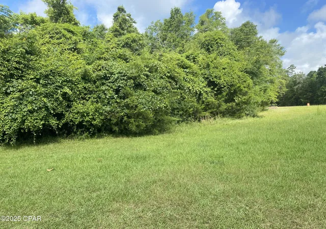 3rd image of 0000 Robins Way #36, Marianna, FL 32446 | MLS# 775012