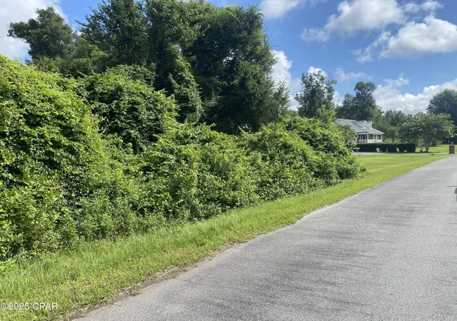 1st image of 0000 Magnolia Blossom Ln #16, Marianna, FL 32446 | MLS# 775005