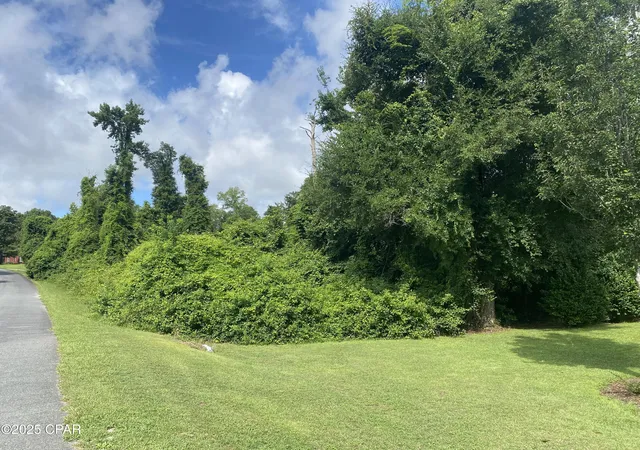 2nd image of 0000 Magnolia Blossom Ln #16, Marianna, FL 32446 | MLS# 775005