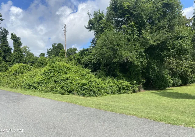 3rd image of 0000 Magnolia Blossom Ln #16, Marianna, FL 32446 | MLS# 775005