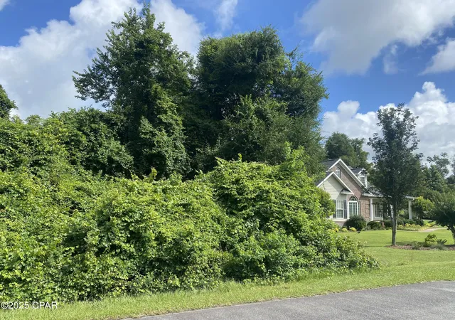 4th image of 0000 Magnolia Blossom Ln #16, Marianna, FL 32446 | MLS# 775005