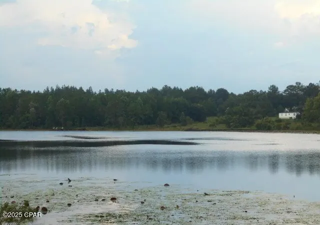 2nd image of 574 Mcduff Dr, Alford, FL 32420 | MLS# 775338