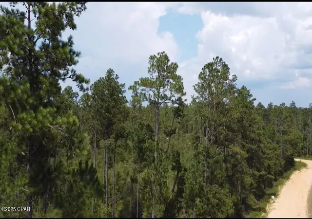 Homes for sale in Alford, FL | 0 Black Hills St, Alford, FL 32420 | MLS# 775328