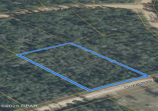 Homes for sale in Alford, FL | 0 Black Hills St, Alford, FL 32420 | MLS# 775328